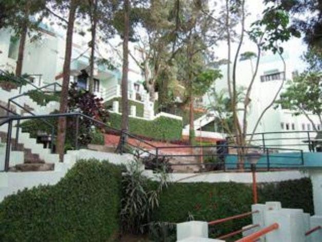 DWS Cafe